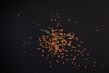 Siyah bir arka plan üzerinde dağınık baharat