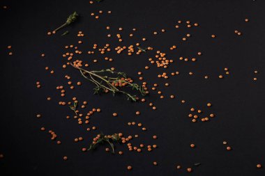 Siyah bir arka plan üzerinde dağınık baharat