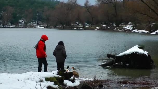 Enfants Nourrissant Oie Près Lac Hiver — Video