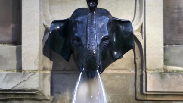 Fuente Escultura Animal — Vídeos de Stock