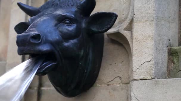 Brunnen Aus Tierskulptur — Stockvideo