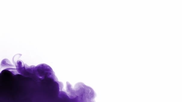 Vídeo Humo Púrpura Propagación — Vídeos de Stock
