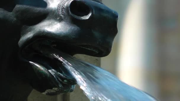 Vattenfall Från Horse Mouth Statue — Stockvideo