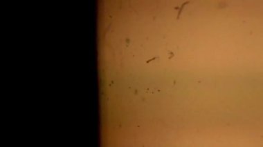 Klasik film kamerası tozu ve çizikleri. 