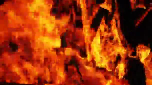 在黑暗中的木柴火 — 图库视频影像