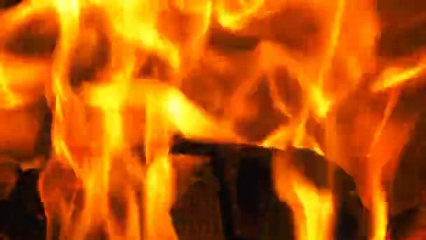 Houten Fire Burning Flames — Stockvideo