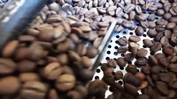 Video Der Kaffeeröstmaschine — Stockvideo