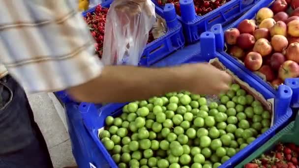 Video Del Tendero Verde — Vídeo de stock