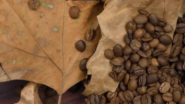 Gerösteter Kaffee Und Trockene Blätter Full — Stockvideo