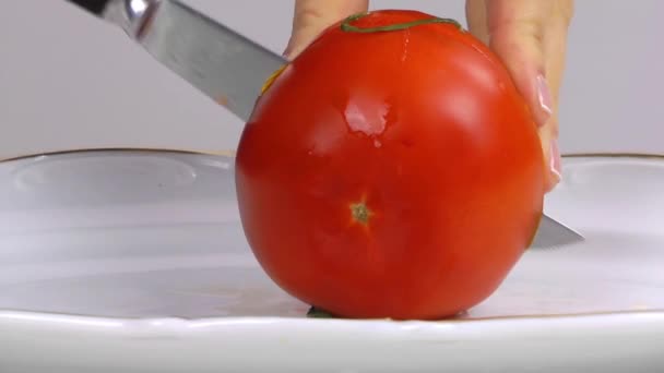 Mujer Corte Mano Tomate — Vídeo de stock