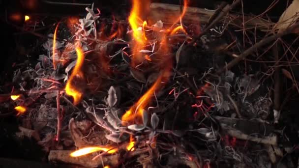 Video Barbacoa Carbón Fuego — Vídeos de Stock