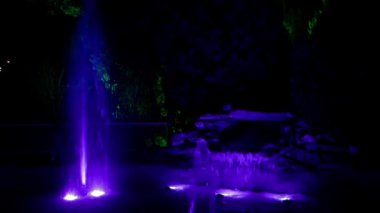 Gece Park Videosu
