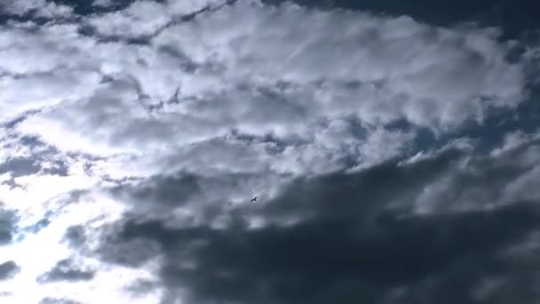 Nuvens Escuras Lapso Tempo — Vídeo de Stock