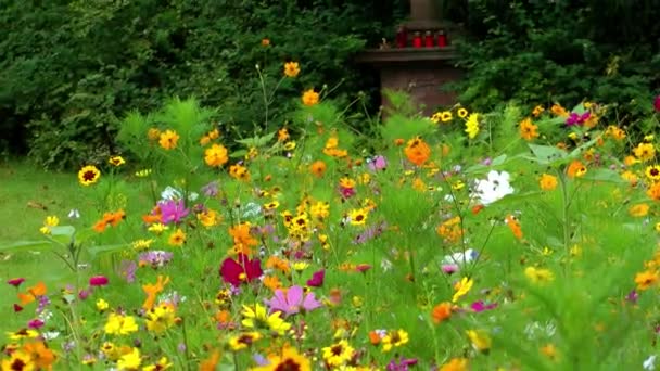 Jesus Skulptur Naturen — Stockvideo