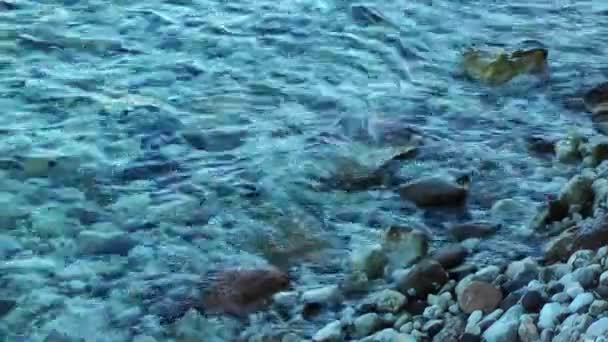 Βίντεο Κοντά Στη Θάλασσα — Αρχείο Βίντεο