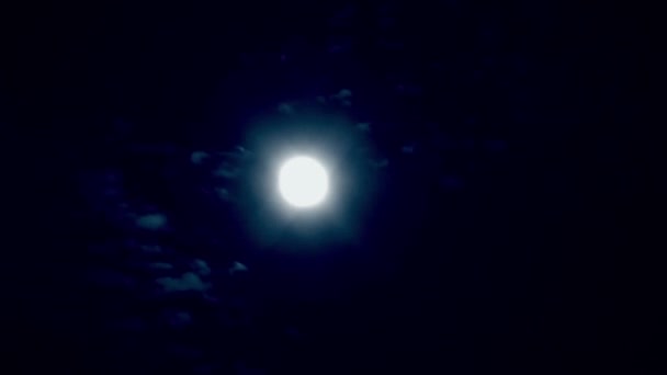 月亮的视频 — 图库视频影像