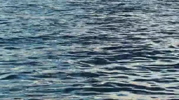海のビデオ — ストック動画