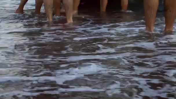 marcher près de la mer 