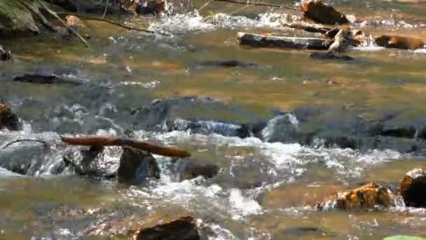 瀑布小溪在自然全高清 — 图库视频影像