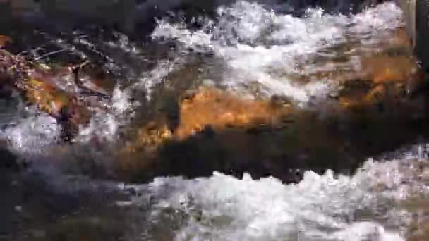 Cascada Arroyo Naturaleza Full — Vídeos de Stock