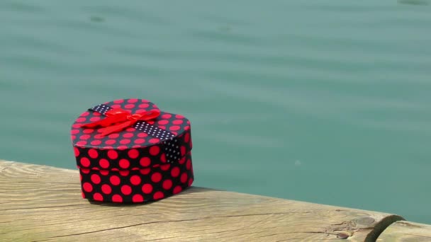 礼品盒和湖泊的视频 — 图库视频影像