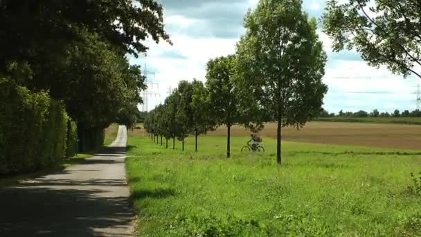 Andar Bicicleta Natureza — Vídeo de Stock