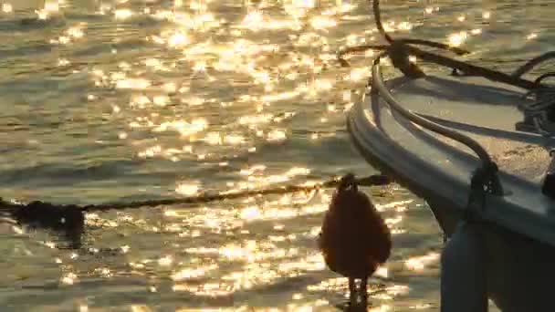 Barco Pesca Reflejo Del Sol Mar — Vídeos de Stock