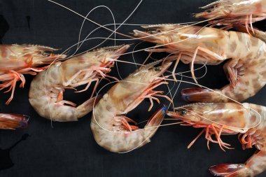 Görünümü kadar karides