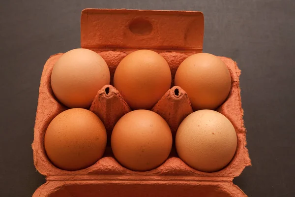 卵の場合 — ストック写真