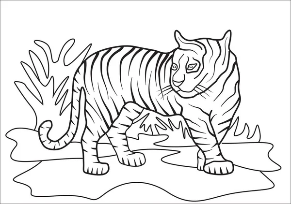 Tiger Βιβλίο Ζωγραφικής Στο Ζωολογικό Κήπο Για Παιδιά Royalty Free Εικονογραφήσεις Αρχείου