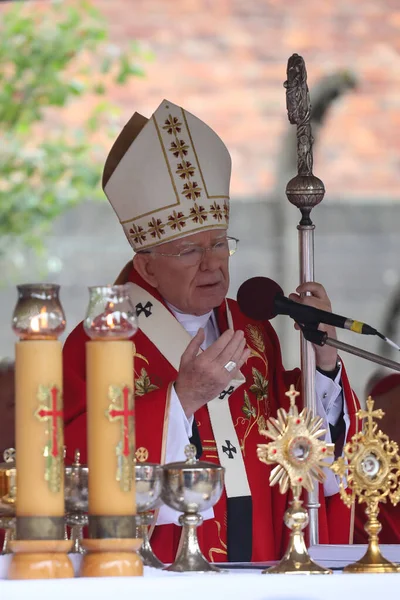 Oswiecim Άουσβιτς Πολωνία Αυγούστου 2019 Αρχιεπίσκοπος Κρακοβίας Marek Jedraszewski Γιορτάζει — Φωτογραφία Αρχείου