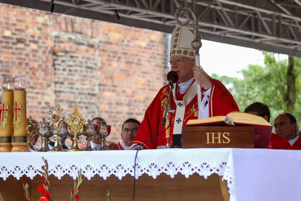 Owaecim Auschwitz Poland Серпня 2019 Архієпископ Кракова Марек Єдрашевський Святкує — стокове фото