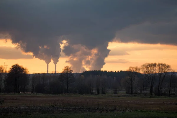 Внизу Польша Марта 2019 Года Дымящиеся Шимпанзе Электростанции Внизу — стоковое фото