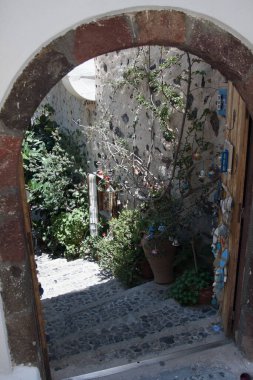 Yunanistan 'ın Girit adasındaki mavi deniz ve kumsal sahillerine karşı şekilli bir zeytin ağacı