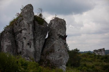 Polonya 'nın Mirow köyündeki 14. yüzyıl şatosunun kalıntıları. Krakow-Czestochowa Upland, Polonya Jurassic Highland veya Polonya Jura. Jurasik Sistemin bir parçası, Kartalların Yuvaları 'nın İzinde yatıyor.