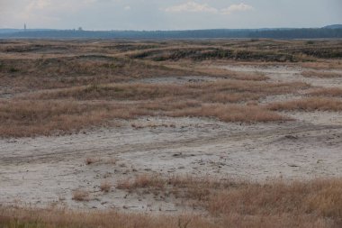 Bledow Desert (Pustynia Bledowska), Polonya 'nın düşük Voyvoda bölgesindeki Silesia Dağları' nda yer alan bir bölge. Orta Avrupa 'nın herhangi bir denizden uzak bir bölgede bulunan en büyük kum birikintisi.