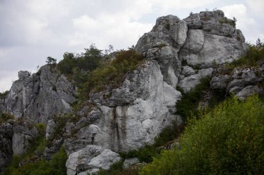 Polonya 'nın Mirow köyündeki 14. yüzyıl şatosunun kalıntıları. Krakow-Czestochowa Upland, Polonya Jurassic Highland veya Polonya Jura. Jurasik Sistemin bir parçası, Kartalların Yuvaları 'nın İzinde yatıyor.