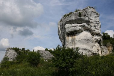 Polonya, Olsztyn 'deki şatonun kalıntıları. Krakow-Czestochowa Upland, Polonya Jurassic Highland veya Polonya Jura. Jura Sistemi 'nin bir parçası.