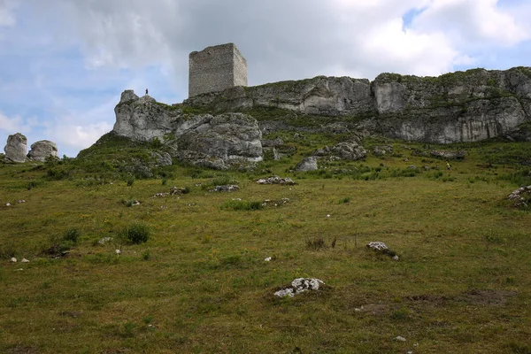 폴란드 스친에 Krakow Chestochowa Upland 폴란드 쥬라기 폴란드 쥬라기 시스템 — 스톡 사진