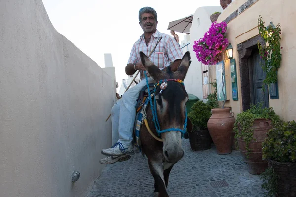 Ilha Santorini Grécia Julho 2012 Passeio Burro Pelas Ruas Estreitas — Fotografia de Stock