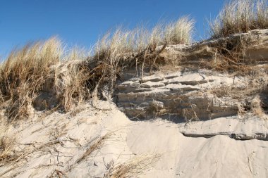 Çimenli kum tepeleri olan kumsal, Baltık Denizi 'nde yaz manzarası, Polonya