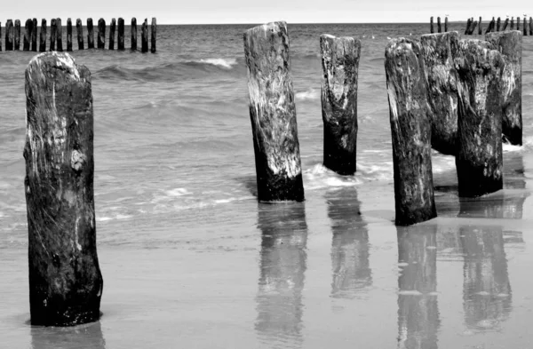 Wooden Wave Breakers Sea Baltic Sea Poland — Stock Photo, Image