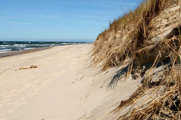 Sandstrand Med Gräsbevuxna Sanddyner Sommarlandskap Östersjön Polen — Stockfoto