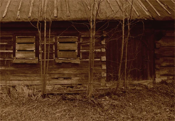 Polsko Zakopane Chocholow Února 2020 Historické Dřevěné Chatrče Chocholově Zvané — Stock fotografie