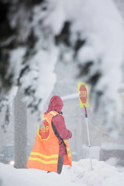 Polen Tschenstochau April 2017 Rückkehr Des Schneereichen Winters Frühling Starker — Stockfoto