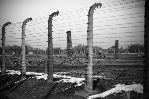 Auschwitz Birkenau Polska Grudnia 2019 Ogrodzenie Elektryczne Drutem Kolczastym Zniszczone — Zdjęcie stockowe