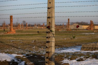 Auschwitz - Birkenau, Polonya - 6 Aralık 2019: dikenli telli elektrikli tel, Alman toplama kampı Auschwitz II Birkenau, Brzezinka