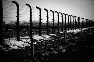 Auschwitz - Birkenau, Polonya - 6 Aralık 2019: dikenli telli elektrikli tel, Alman toplama kampı Auschwitz II Birkenau, Brzezinka