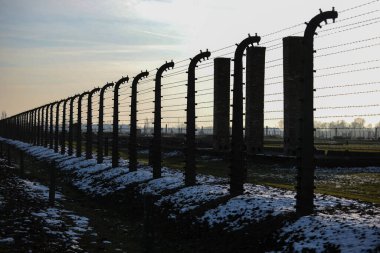 Auschwitz - Birkenau, Polonya - 6 Aralık 2019: dikenli telli elektrikli tel, Alman toplama kampı Auschwitz II Birkenau, Brzezinka