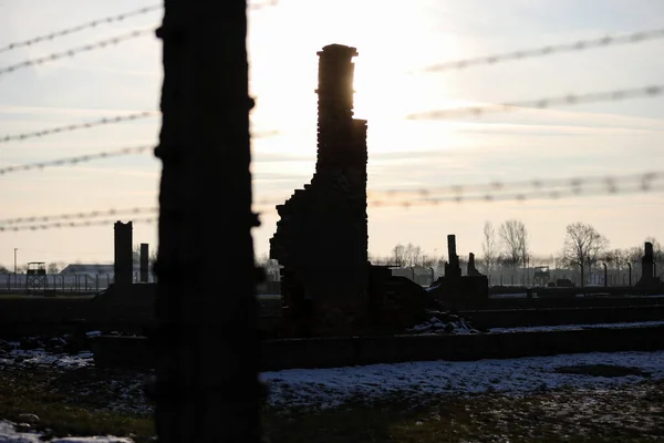 Auschwitz Birkenau Poland Decemeber 2019 Електричний Паркан Колючим Дротом Зруйновані — стокове фото